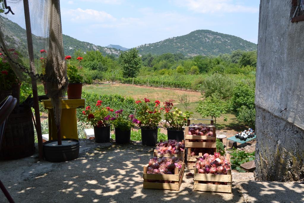 Guesthouse Feel Lake Virpazar Exterior photo