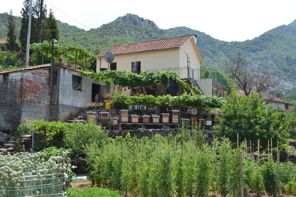 Guesthouse Feel Lake Virpazar Exterior photo