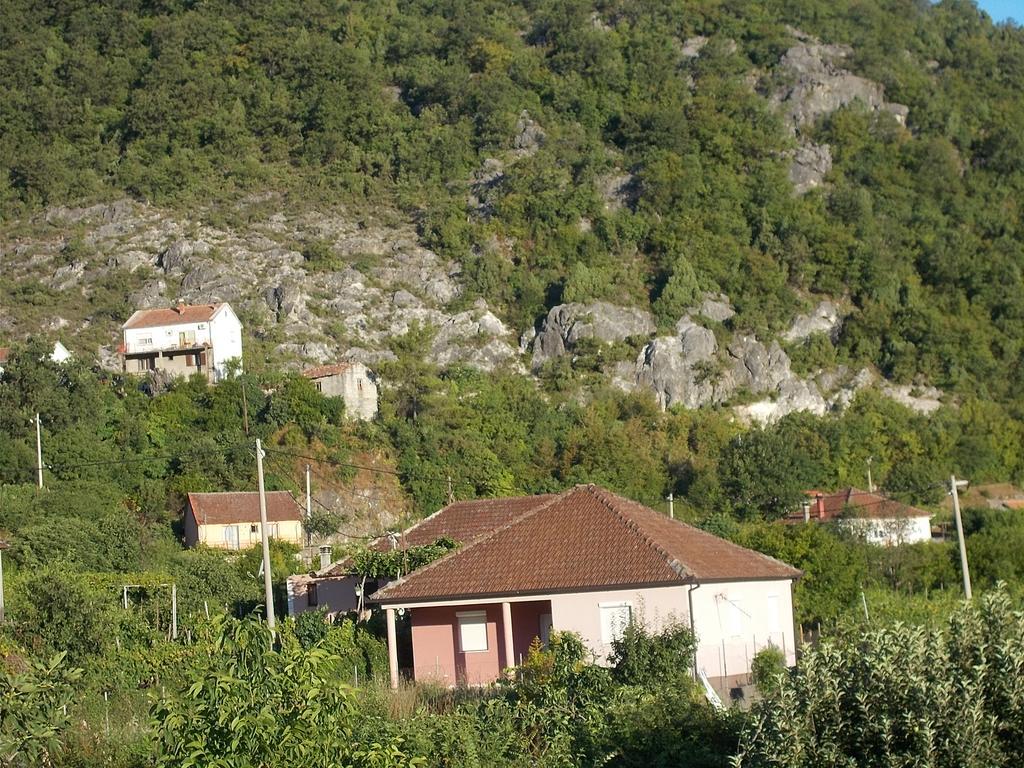 Guesthouse Feel Lake Virpazar Exterior photo