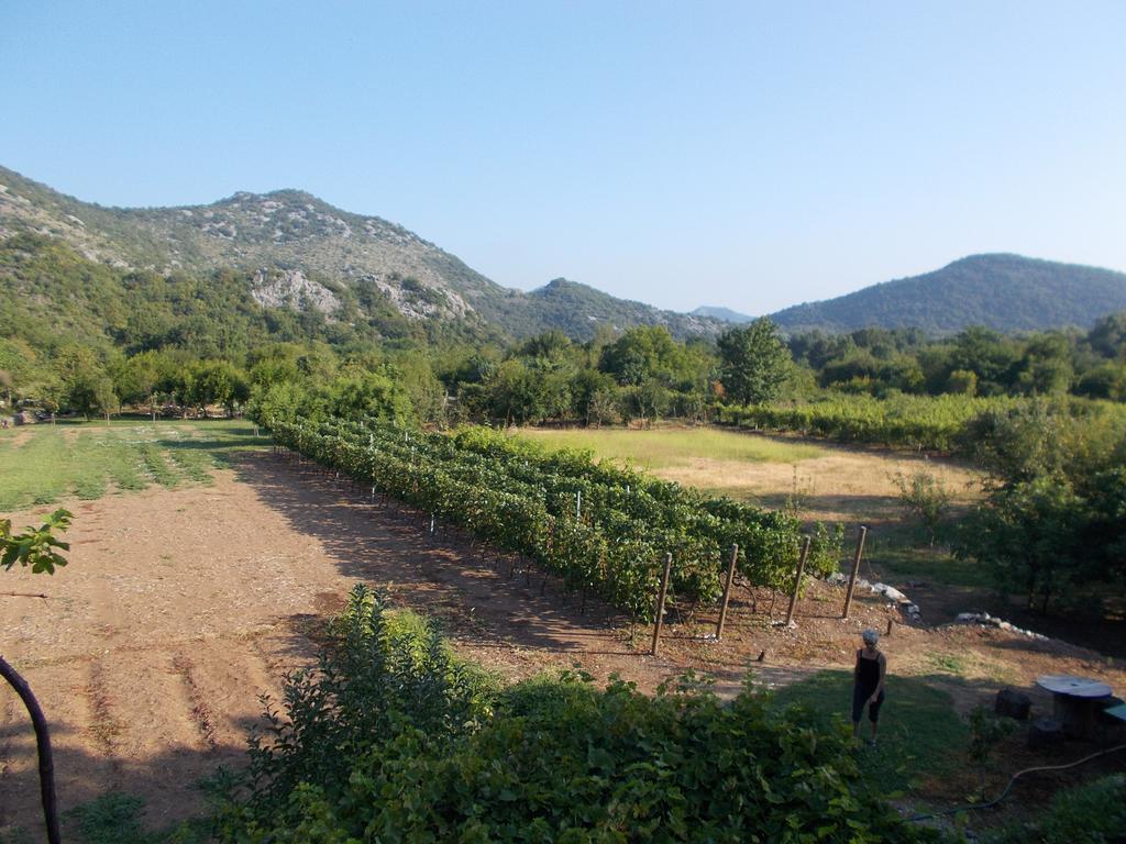 Guesthouse Feel Lake Virpazar Exterior photo