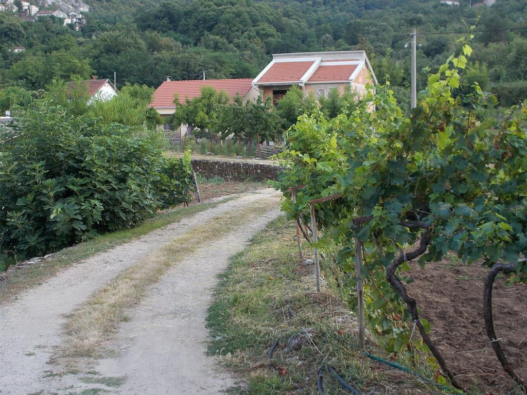 Guesthouse Feel Lake Virpazar Exterior photo