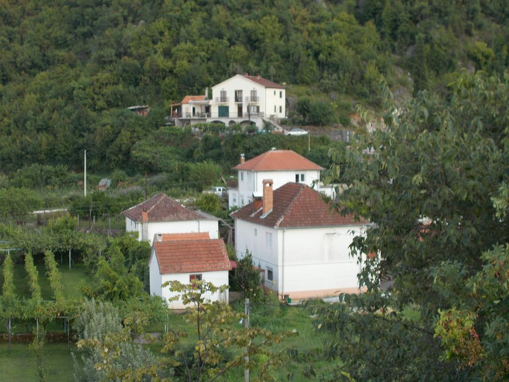 Guesthouse Feel Lake Virpazar Exterior photo