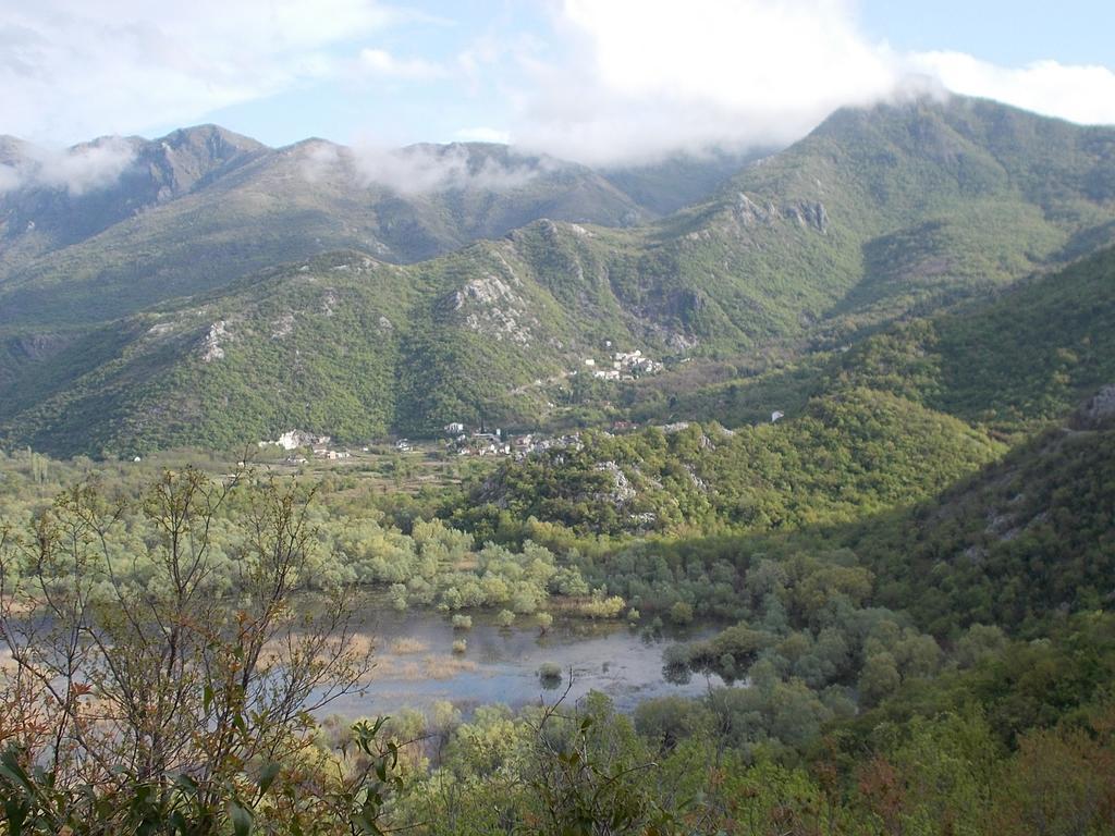 Guesthouse Feel Lake Virpazar Exterior photo